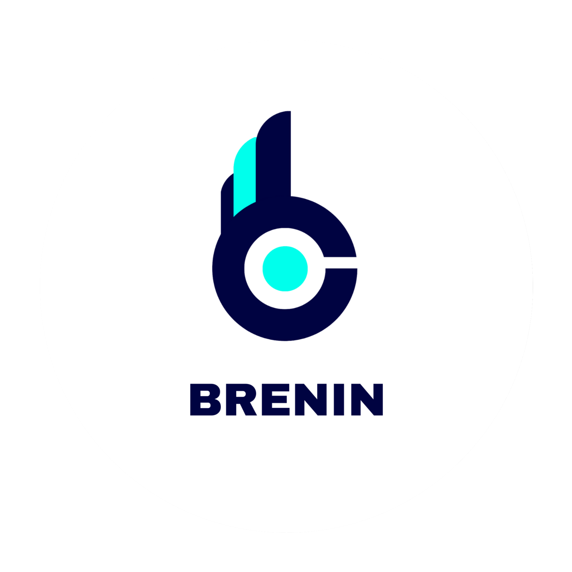 Brenin Technologies